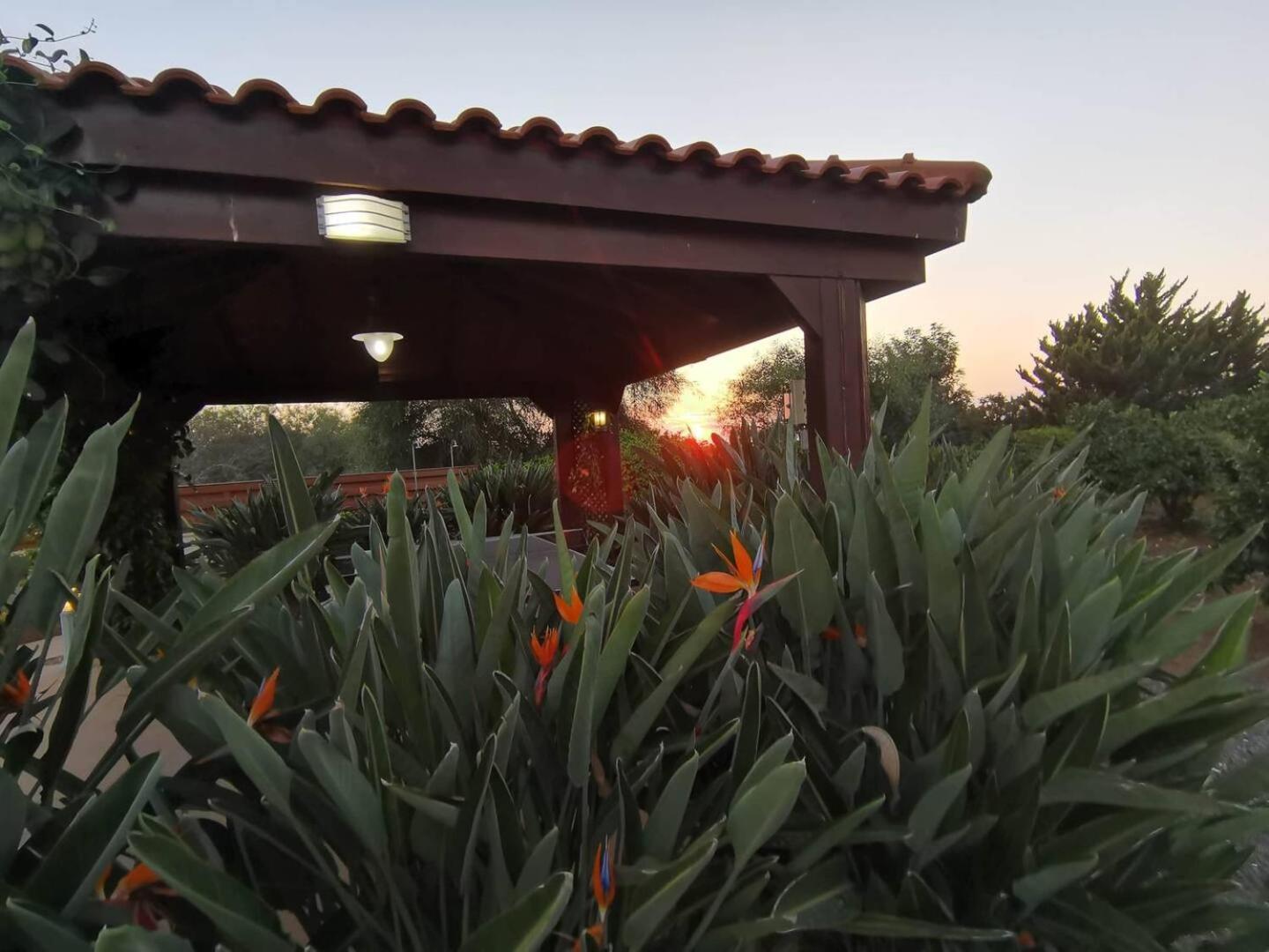 Orchard Blossom Private Villa With Pool Phrenaros Luaran gambar